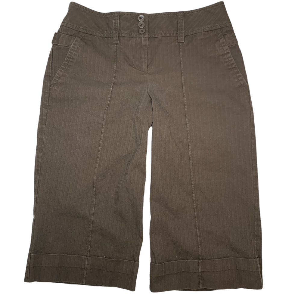 LOFT Ann Taylor Women’s Knicker Capris Brown Size 2